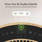 auli 2.0 - the essentials pack