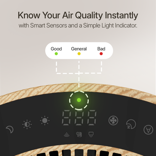 Air quality indicator