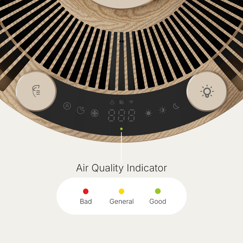Real-time air quality indicator